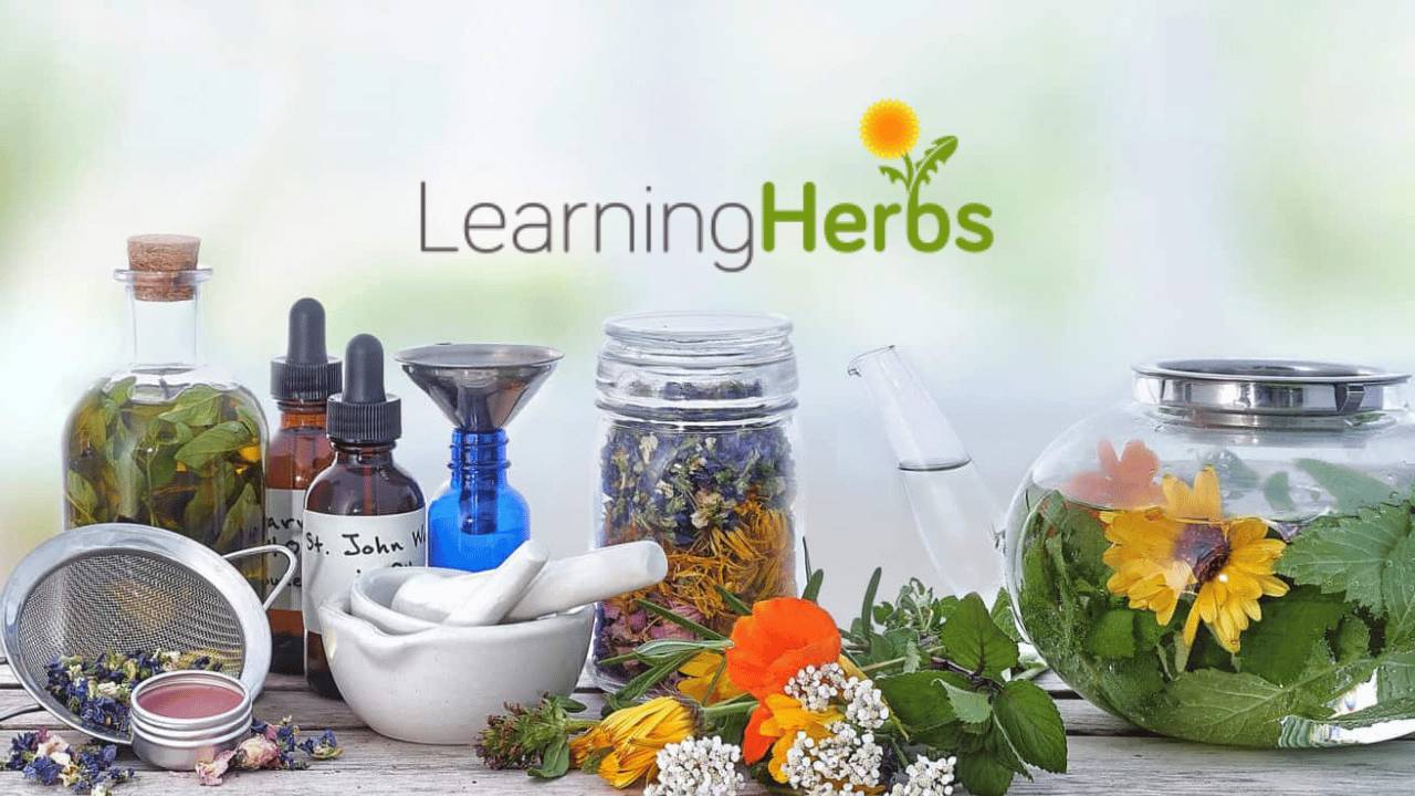 Get Your Herbs On: Simple Steps to Start Your Herb Garden